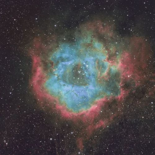 Rosette in false color