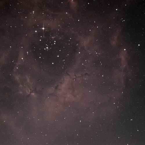 First photo of the Rosette nebula